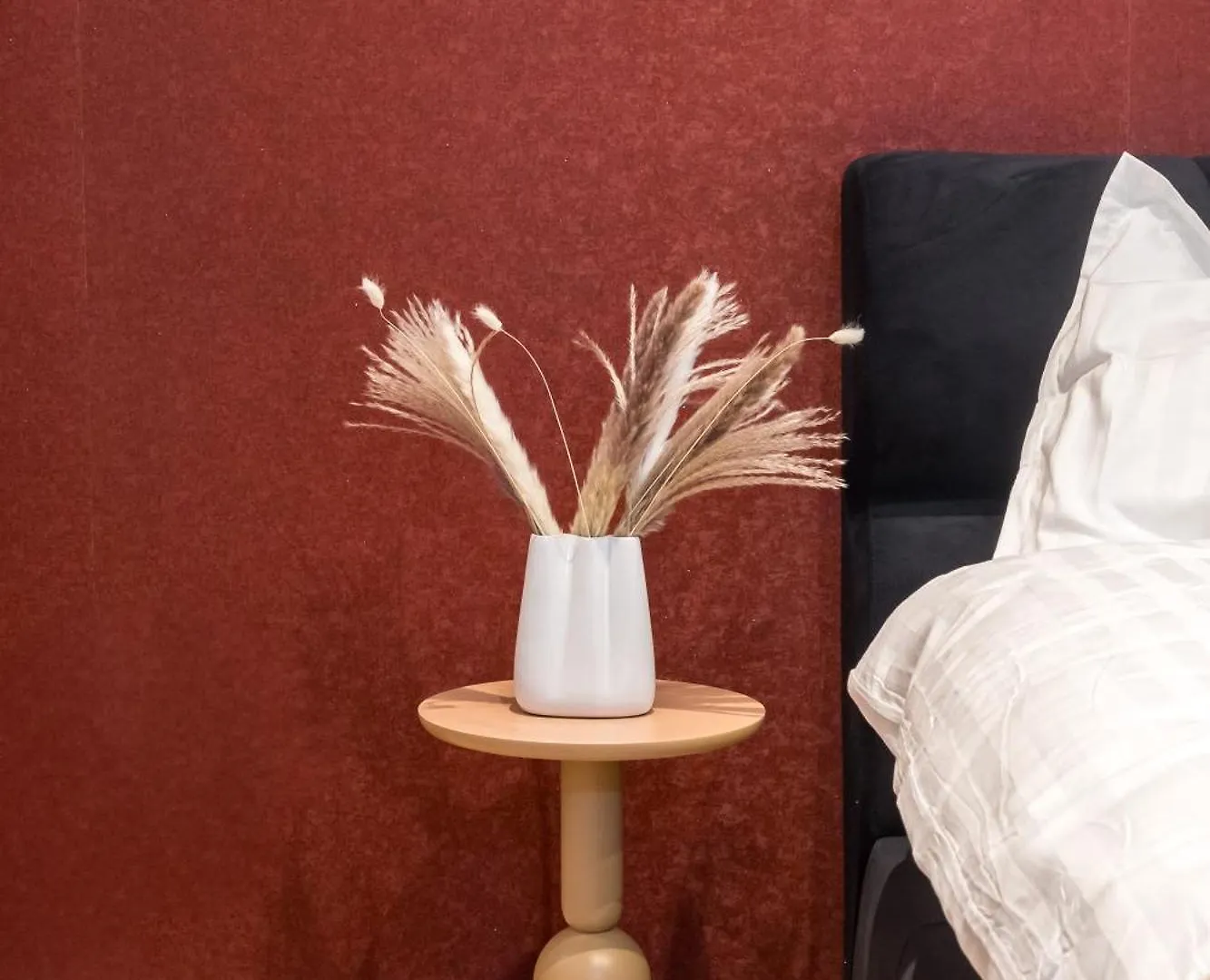 Ivory Concept Studio 53 Voluntari